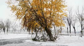 ‘First snow’ turns northwest China into beautiful winter landscape