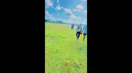 Village beautiful nature video with animals and cricket lover boys.