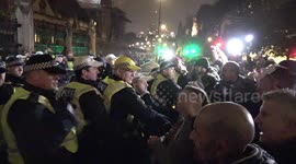 Arrests made as protesters clash with riot police during 'Million Mask March' in London