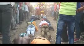 Devotees allow cows to trample on them in a unique ritual in India