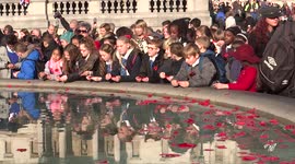 ARCHIVE: Children throw poppies in the fountain at Trafalgar square on Remembrance day, 2016