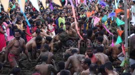 World's smelliest fight takes place during 'cow dung battle' festival in southern India