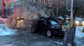 Rare freezing rain phenomenon seen in northern China after heavy snow