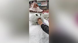 Ghoulish snowman gets dentures fitted in mouth by dentist in China