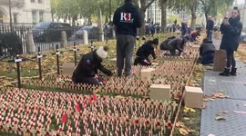 Volunteers create a ‘field of remembrance’ outside Westminster Abbey ahead of Remembrance Sunday