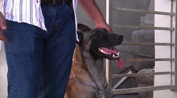 Gaza resident turns his hobby into a profession by becoming dog trainer