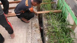 Rain triggers landslides that cause two drainage diggers to die under a drainage wall in Indonesia, two other workers survive