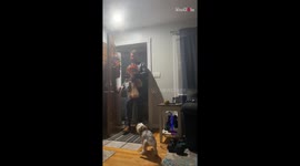 So sweet: Wife's surprise homecoming leaves husband in happy tears