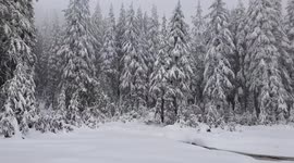 Majestic snowfall slams Mt. Seymour in British Columbia, Canada