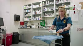 How Veterinarians Give a Snake a Health Checkup