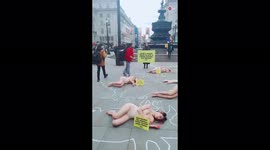 'Animal rights activists send a STRONG MESSAGE to meat, egg & dairy industries on World Vegan Day '