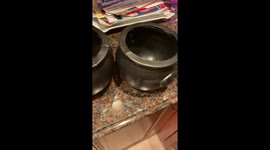 ''But you don't need candy' - Girl gets upset when mom tells her she ate her Halloween candy'