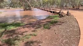 Australia: Todd River In Alice Springs Swells After Record Breaking Rain 2
