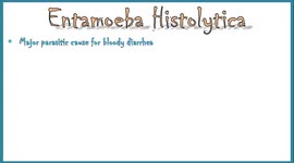 Entamoeba Histolytica : Morphology of the Trophozoite & Cyst on Light Microscope (Stools for AOC)