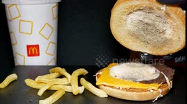 YouTuber films 2-week timelapse documenting mould on McDonald's burger and fries
