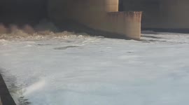 India: Toxic Foam On Surface Of Yamuna River In New Delhi