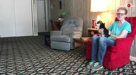 'Silly dog attacks her biggest foe... a VACUUM CLEANER!'