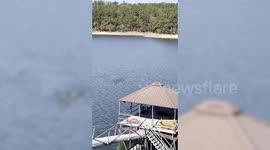 Herd of deer spotted swimming across Alabama lake in the USA