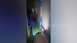 Pet cat rescued after getting stuck in tiny wall gap for four days