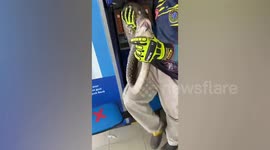 Huge python caught curled up in bank’s ATM cash machine in Thailand