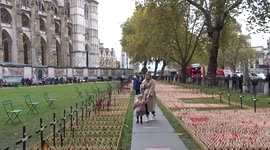 Field of Remembrance visitors pay tributes to the Armed Forces heroes on Armistice Day 2021