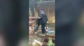Female police official carries unconscious man to safety amid flash floods in southern India