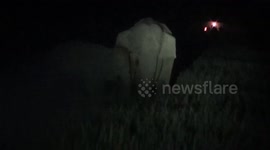 Elephants playfully engage with one another amid fields in northeastern India