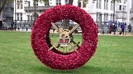 Westminster Abbey Field of Remembrance 2021 opened to public - London