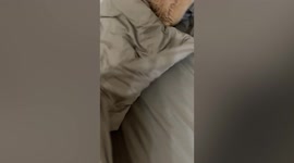 Woman freaks out after seeing huge spider inside her blanket