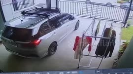 Helpful pet tortoise helps owner dry laundry in Thailand