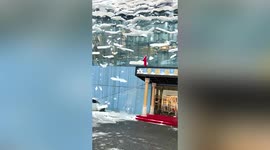 Massive snow chunks roll off stadium roof like waterfall in northern China