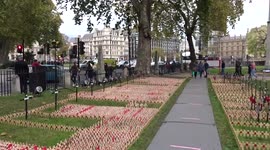 The 93rd Field of Remembrance at Westminster Abbey - general view