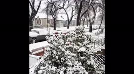 Canada: Season First Winter Storm Hits Ontario And Manitoba 4