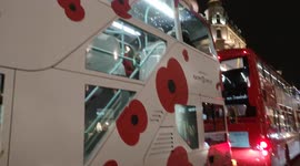 Poppy bus in London marks Remembrance Sunday