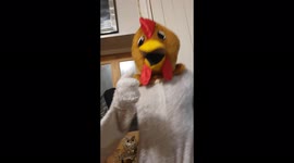 Crazy chicken with a twist at the end , wait till the head is removed!