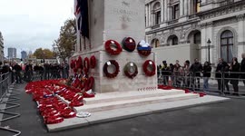 Controversial 'white poppy' wreath spotted at Cenotaph in London on Remembrance Sunday