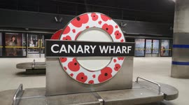 TFL Roundel With Poppys