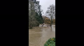 BC rainfall floods Nicomekl Park in Langley