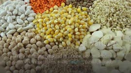 No Carb Diet :- Pros & Cons, Foods To Be Included And How To Start |Zero Carb Diet