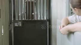 What Husbandry Training Looks Like for a Young Okapi Calf