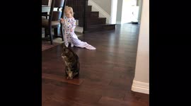 The most patient cat in the world