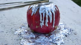 Here is what happens when molten lead is poured into apples and oranges
