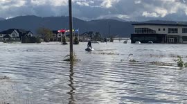 Farmers seen using JETSKI and BOATS in bid to save animals from severely flooded Vancouver property