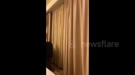 Cat plays peekaboo with its owner in Vilnius, Lithuania