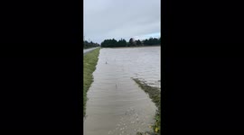 Thousands of B.C. farms flooded after record-breaking rainfall in Canada
