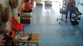 Pet cat causes panic after carrying snake into family’s shop