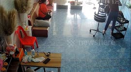 Cheeky pet cat causes panic after carrying snake into family's shop (with cat at end of sequence)