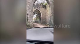 UK mum bypasses SIX security checkpoints to sneak into 'I'm A Celebrity Get Me Out Of Here' castle