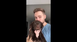 Professional chef creates gourmet meals for his puppy including LOBSTER and WAGYU steak – and even offers her TASTING MENU dishes as a treat