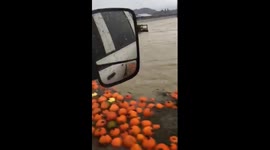 Hundreds of pumpkins spotted floating down flooded highway in British Columbia